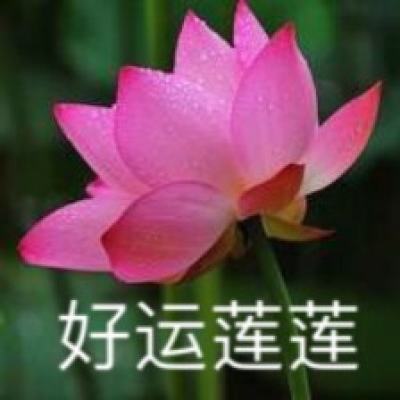 国家税务总局四川省税务局原副巡视员饶勇被开除党籍